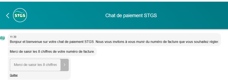 Chat de paiement STGS.